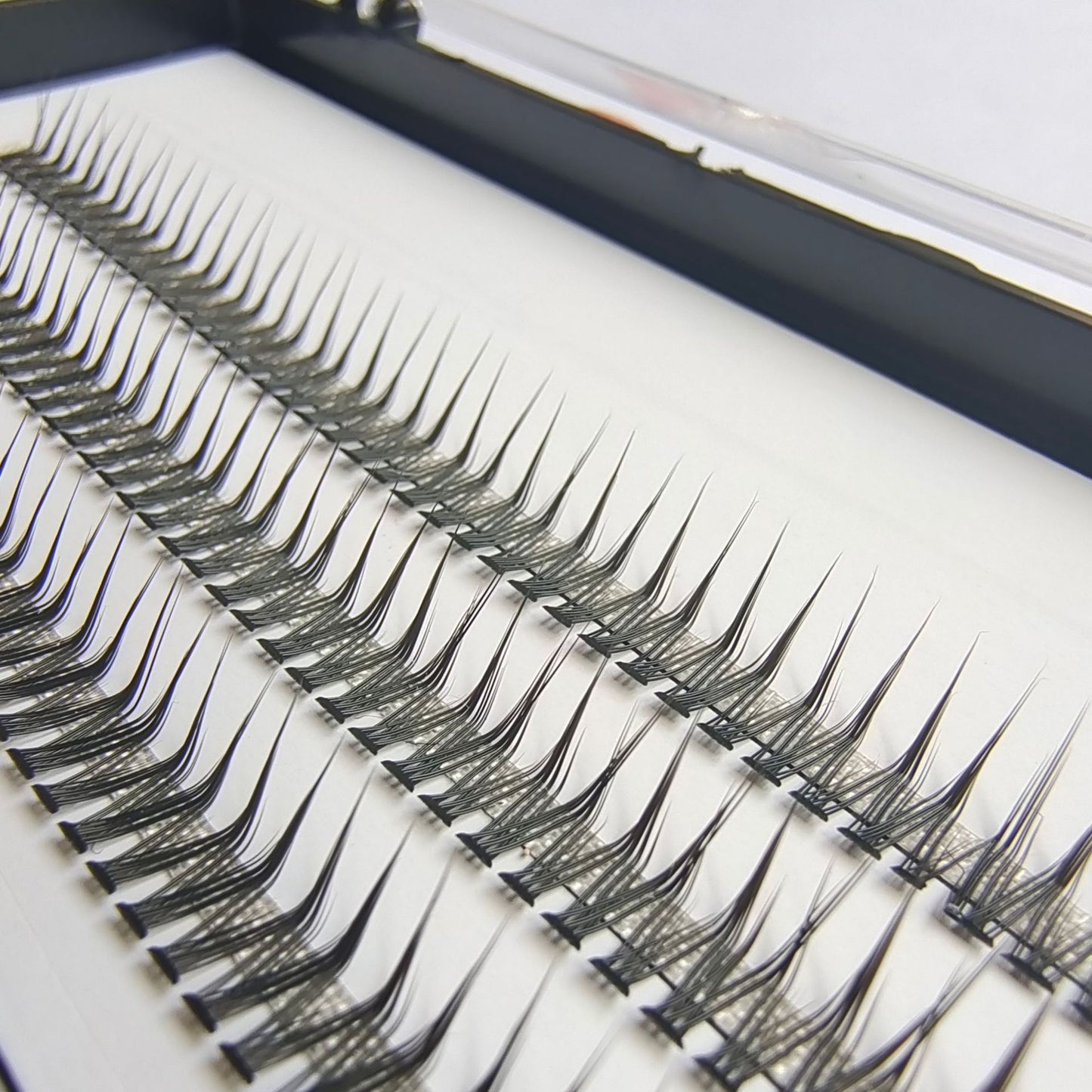 60 Clusters Lashtray For 10D 20D L curl Individual Eyelashes Bunches Professional Makeupartist Faux Lashtray