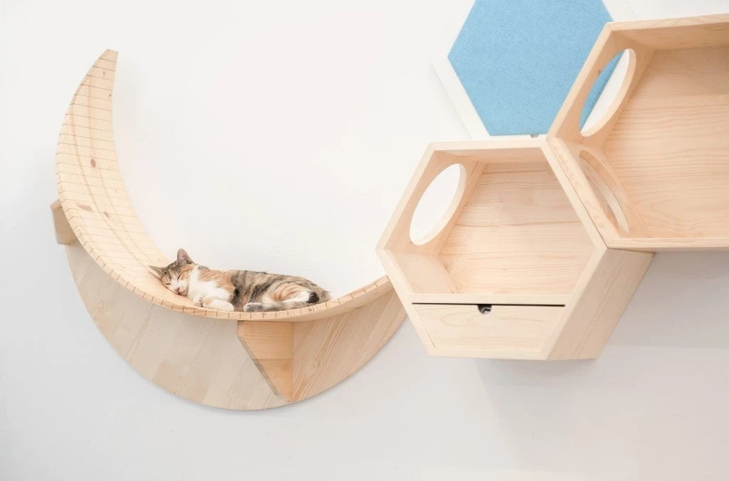 Pet cat climbing frame Wall mounted cat rack, warm luxury wooden space capsule