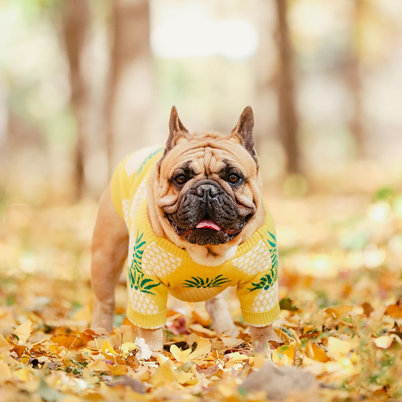 Dog Sweater Luxurious Warm Clothing