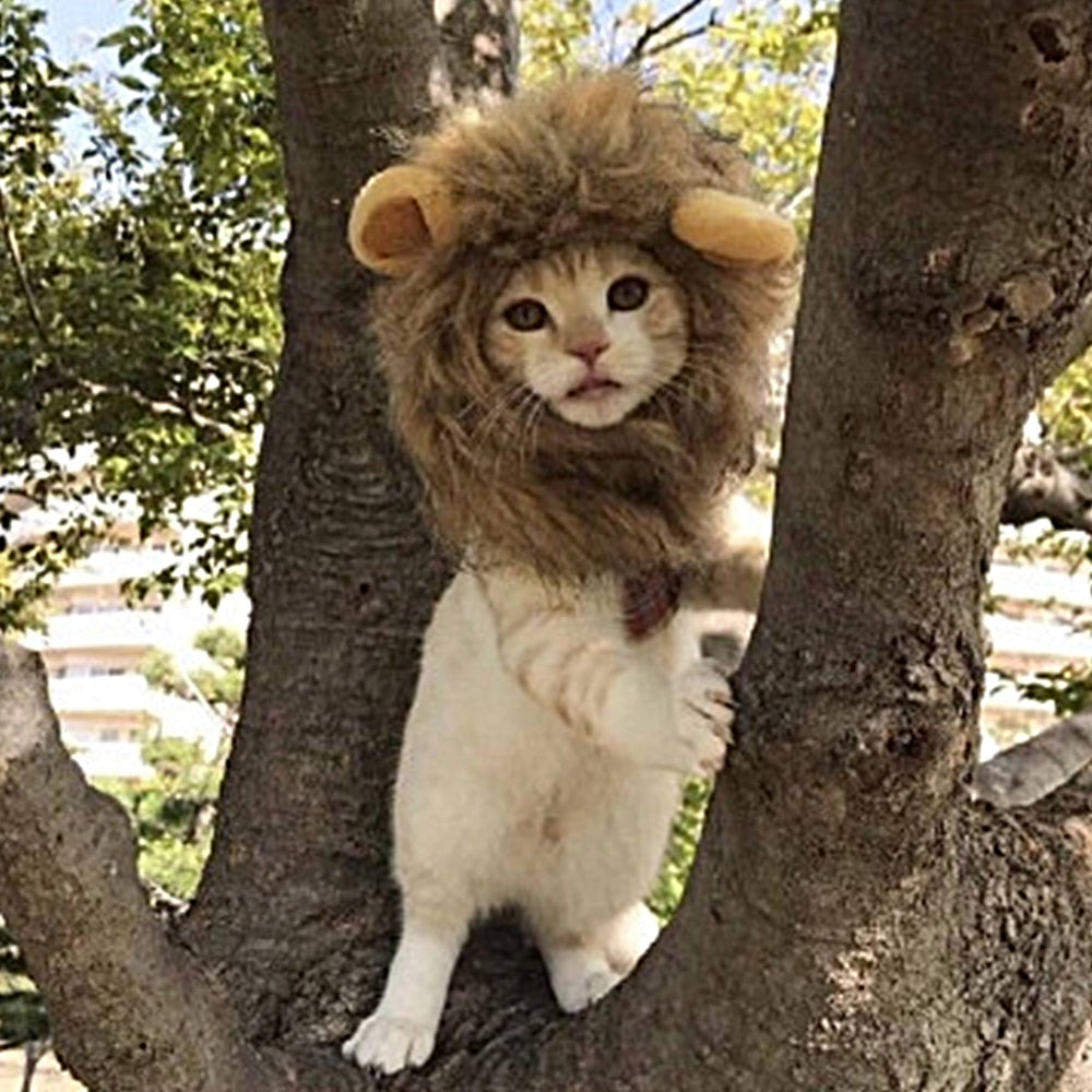 Pet Halloween Costumes Retro High Retention Rates Cartoon Warm Hat Lei Feng Short Plush Cute Dog Cat Hat