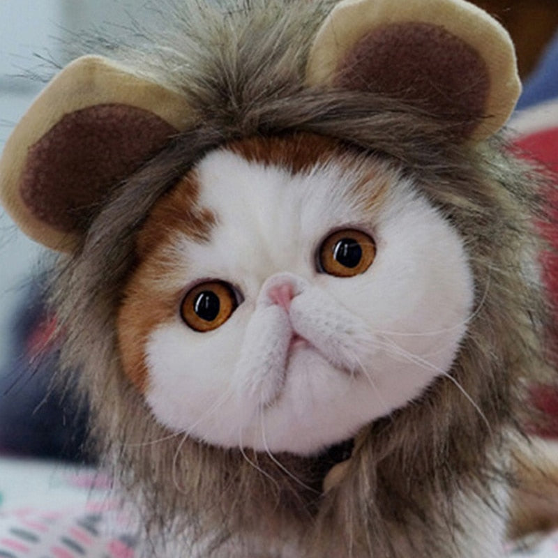 Pet Halloween Costumes Retro High Retention Rates Cartoon Warm Hat Lei Feng Short Plush Cute Dog Cat Hat