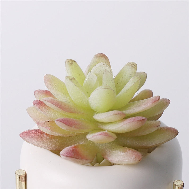 Artificial plants suculentas Fake cactus decoration plantas artificiales home decor Green succulent