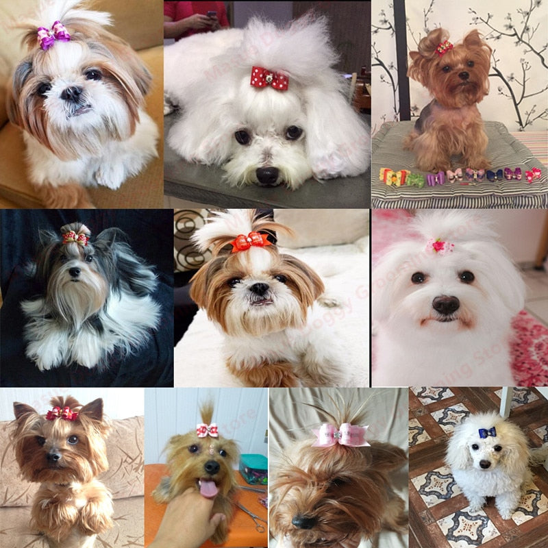 Handmade Pet Dog Cat Hair Bow