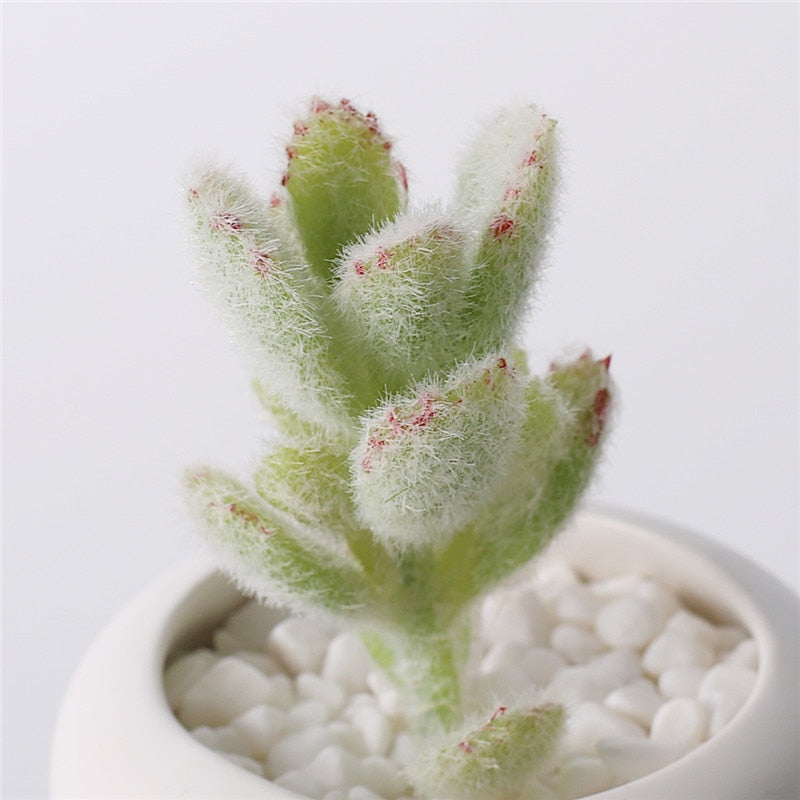 Artificial plants suculentas Fake cactus decoration plantas artificiales home decor Green succulent