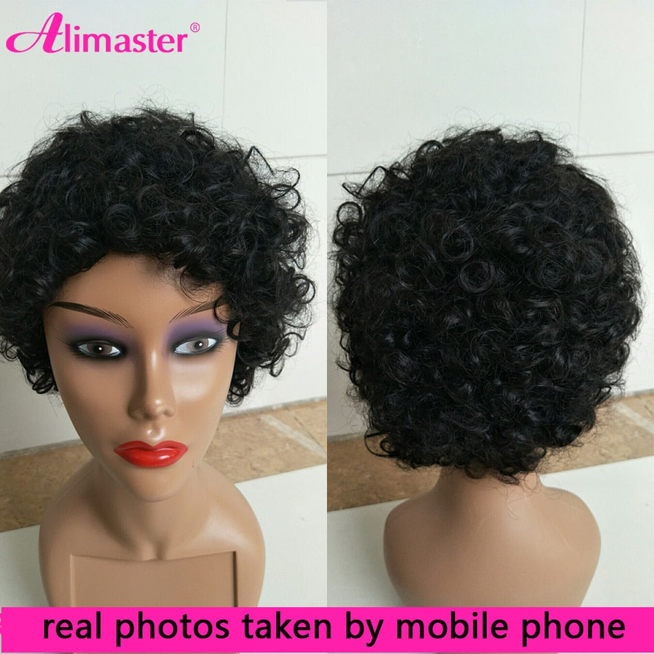 Pixie Cut Wig Human Hair Short Cheap Wig Full Machine Glueless Curly Wig