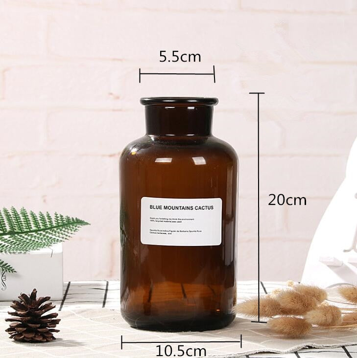 48h Glass Vase Flower Pot Flower Basket Flower Vase Decoration Home Nordic Decoration Dried Flower Hydroponic Small Brown Bottle