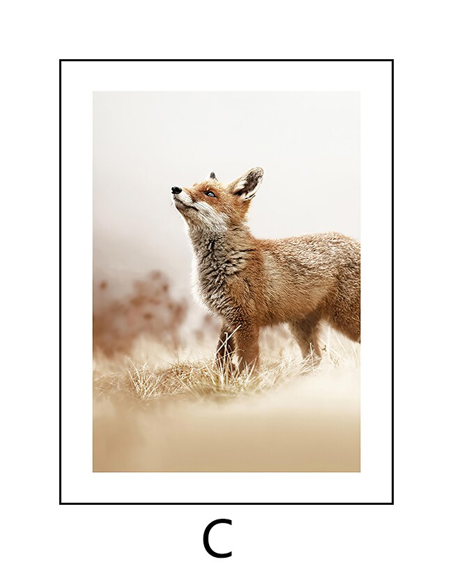Nordic Modern Plant Decor Picture Canvas Painting Home Decor Autumn Grass Animal Poster Wall Art Print