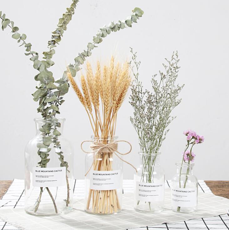 48h Glass Vase Flower Pot Flower Basket Flower Vase Decoration Home Nordic Decoration Dried Flower Hydroponic Small Brown Bottle