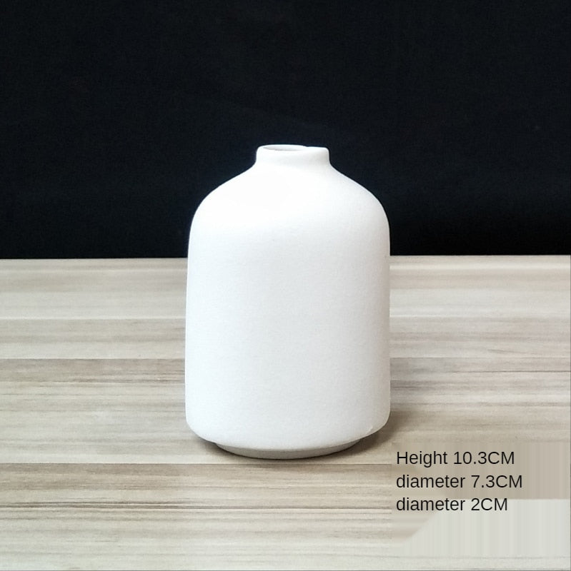 Ceramic Vase for Home Decor