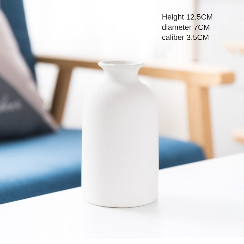 Ceramic Vase for Home Decor
