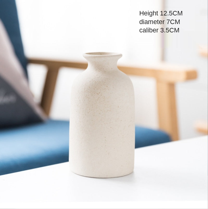 Ceramic Vase for Home Decor