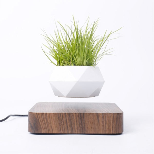 Levitating Air Bonsai Pot Rotation Flower Pot Planters Magnetic  Suspension Floating Pot Potted Plant Home Decor