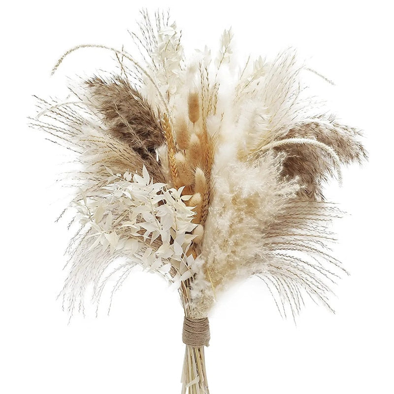 80PCS Natural Dried Pampa Grass Bouquet Boho Home Decor Bouquet Phragmites Dried Flowers Bouquet for Wedding Ramadan Decoration