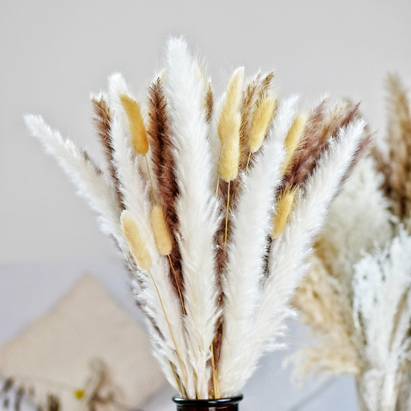 80PCS Natural Dried Pampa Grass Bouquet Boho Home Decor Bouquet Phragmites Dried Flowers Bouquet for Wedding Ramadan Decoration