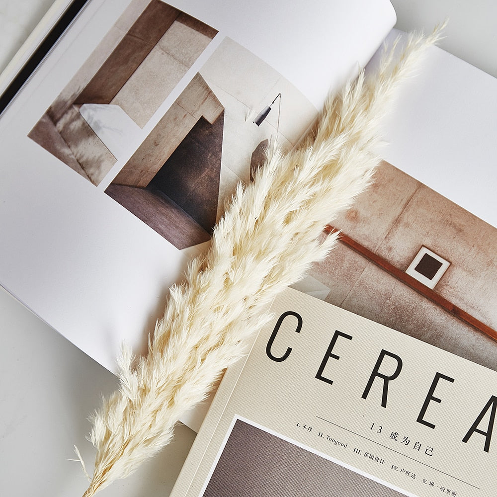 Pampas Grass Decor White Color Fluffy Natural Dried Flowers Bleached Bouquet Boho Vintage Style for Wedding Home Christmas Decor