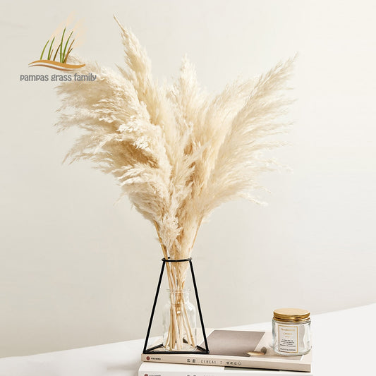 Pampas Grass Decor White Color Fluffy Natural Dried Flowers Bleached Bouquet Boho Vintage Style for Wedding Home Christmas Decor