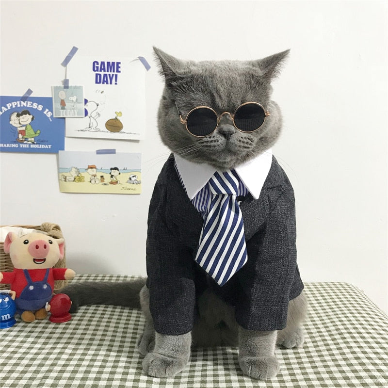 Cat Costume Clip Tie for Cats and Dogs Collar