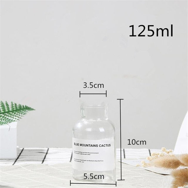 48h Glass Vase Flower Pot Flower Basket Flower Vase Decoration Home Nordic Decoration Dried Flower Hydroponic Small Brown Bottle