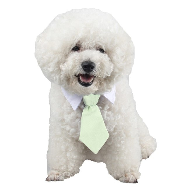 Cute Pet Ties Dog Collar Cat Pet Bow Ties Smart-Looking Pet Costume
