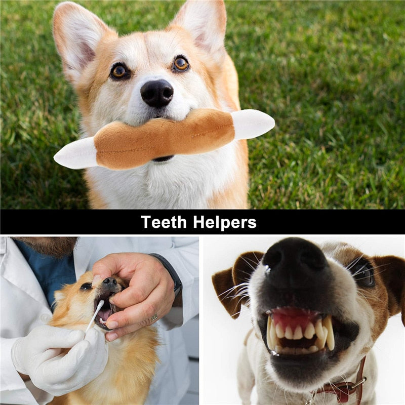 Dog Squeaky Toys Plush Games 