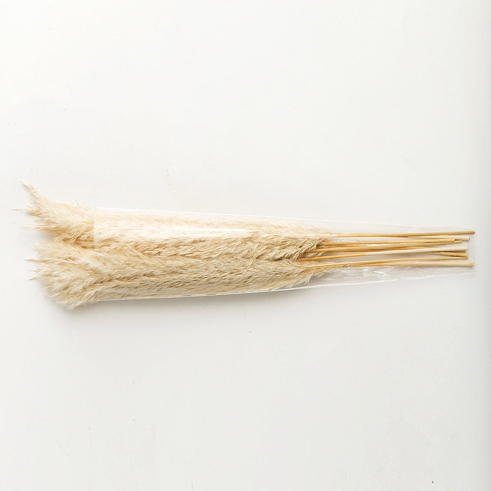 Pampas Grass Decor White Color Fluffy Natural Dried Flowers Bleached Bouquet Boho Vintage Style for Wedding Home Christmas Decor