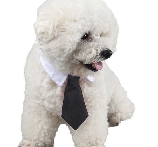Cute Pet Ties Dog Collar Cat Pet Bow Ties Smart-Looking Pet Costume