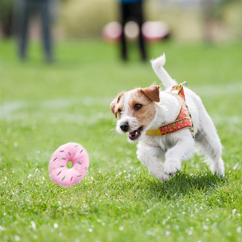 1pc Plush Dog Toy Cartoon Donuts Shape Bite-Resistant Chew Toy Squeaky Supplies Dog Favors