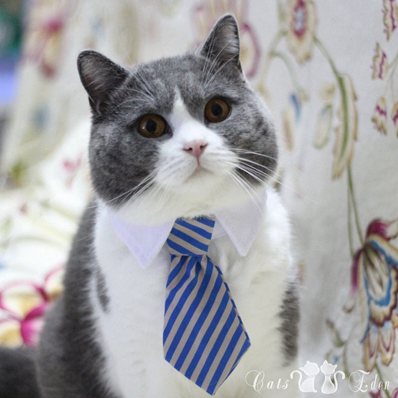 Cat Costume Clip Tie for Cats and Dogs Collar