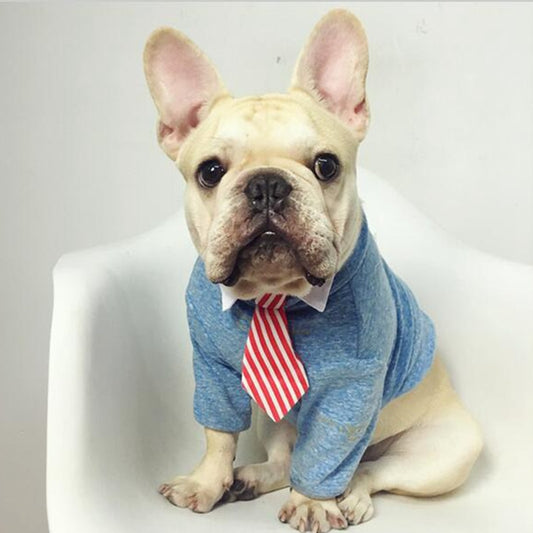 Cute Pet Ties Dog Collar Cat Pet Bow Ties Smart-Looking Pet Costume