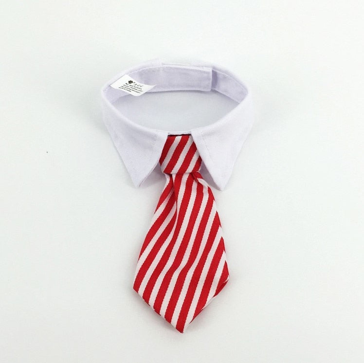 Cat Costume Clip Tie for Cats and Dogs Collar