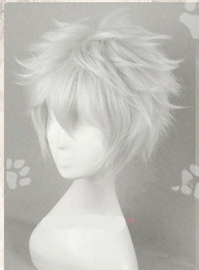 Anime Gintama/Silver Soul sakata gintoki Cosplay wig Gintoki Silver White cosplay wig + wig cap free