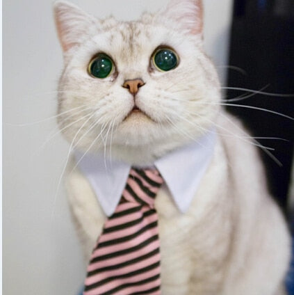 Cat Costume Clip Tie for Cats and Dogs Collar