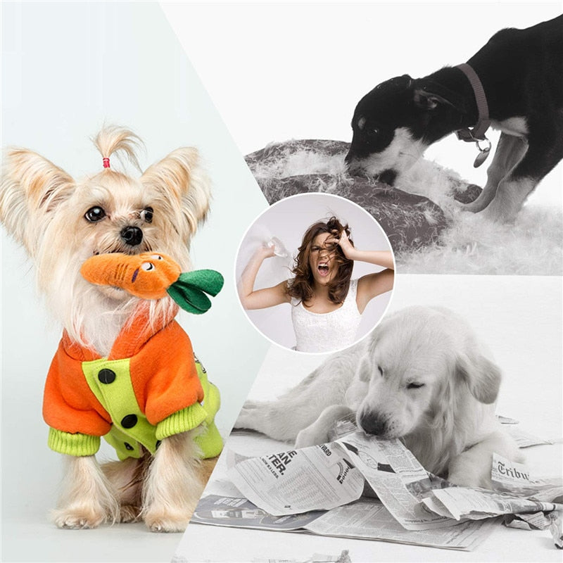 Dog Squeaky Toys Plush Games 
