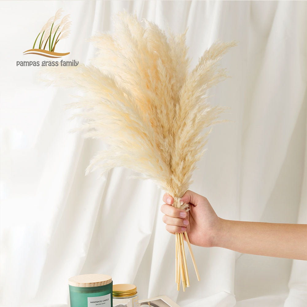 Pampas Grass Decor White Color Fluffy Natural Dried Flowers Bleached Bouquet Boho Vintage Style for Wedding Home Christmas Decor