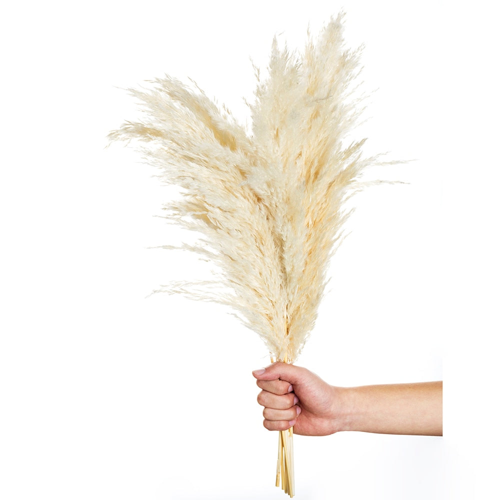 Pampas Grass Decor White Color Fluffy Natural Dried Flowers Bleached Bouquet Boho Vintage Style for Wedding Home Christmas Decor