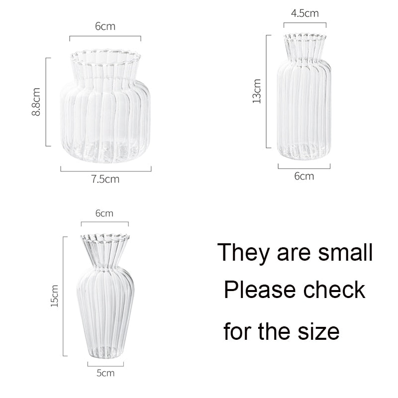 Glass Vase Potted Decoration Nordic Decorative Vase Hydroponic Container Flower Table Vase