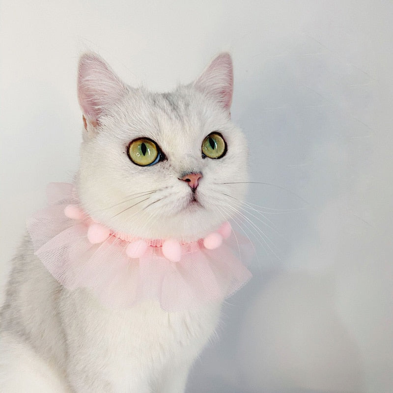 Cute Lace Princess Cat Collar Pet Accessories Puppy Collars Adjustable Bowtie Gift
