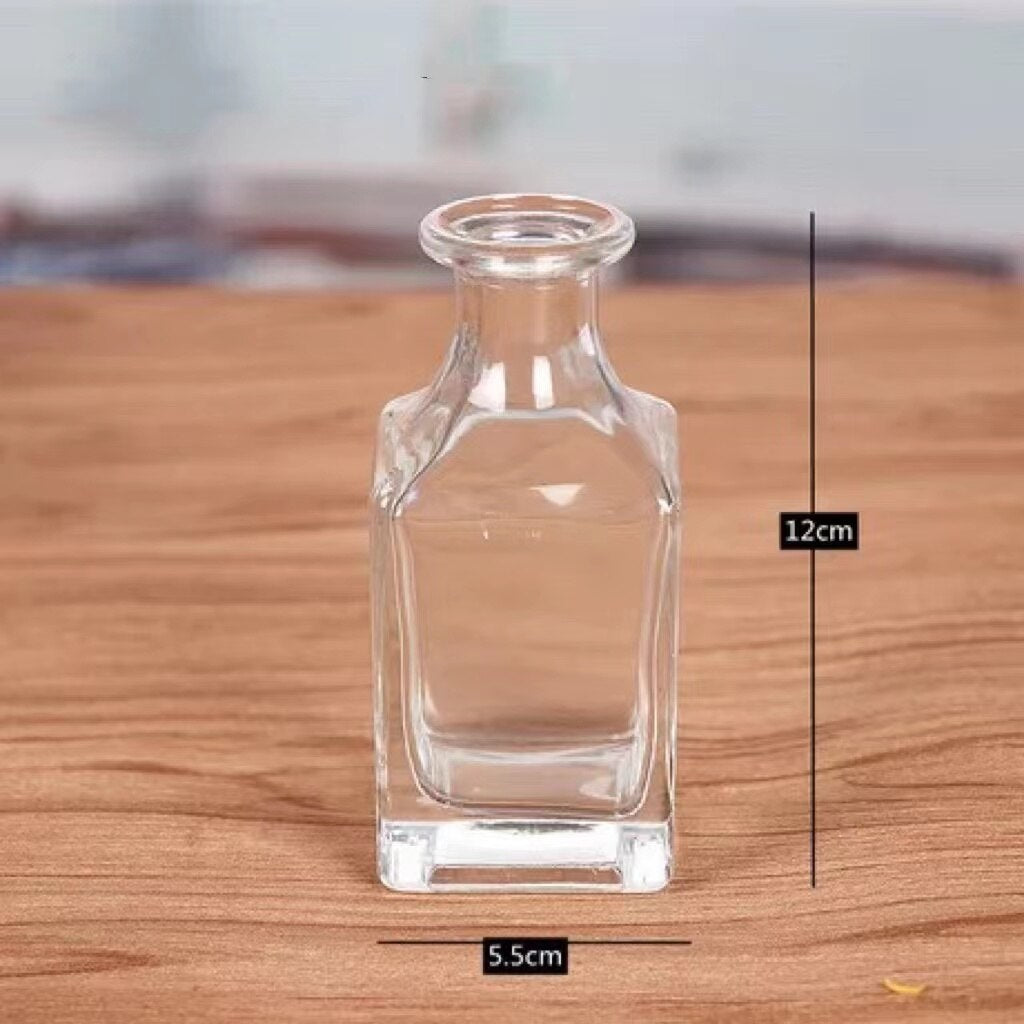 Simple Transparent Glass Small Vase Nordic Decoration Living Room Flower Home