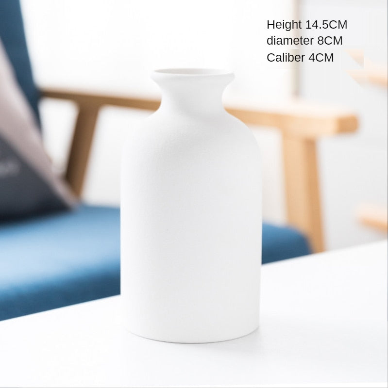 Ceramic Vase for Home Decor