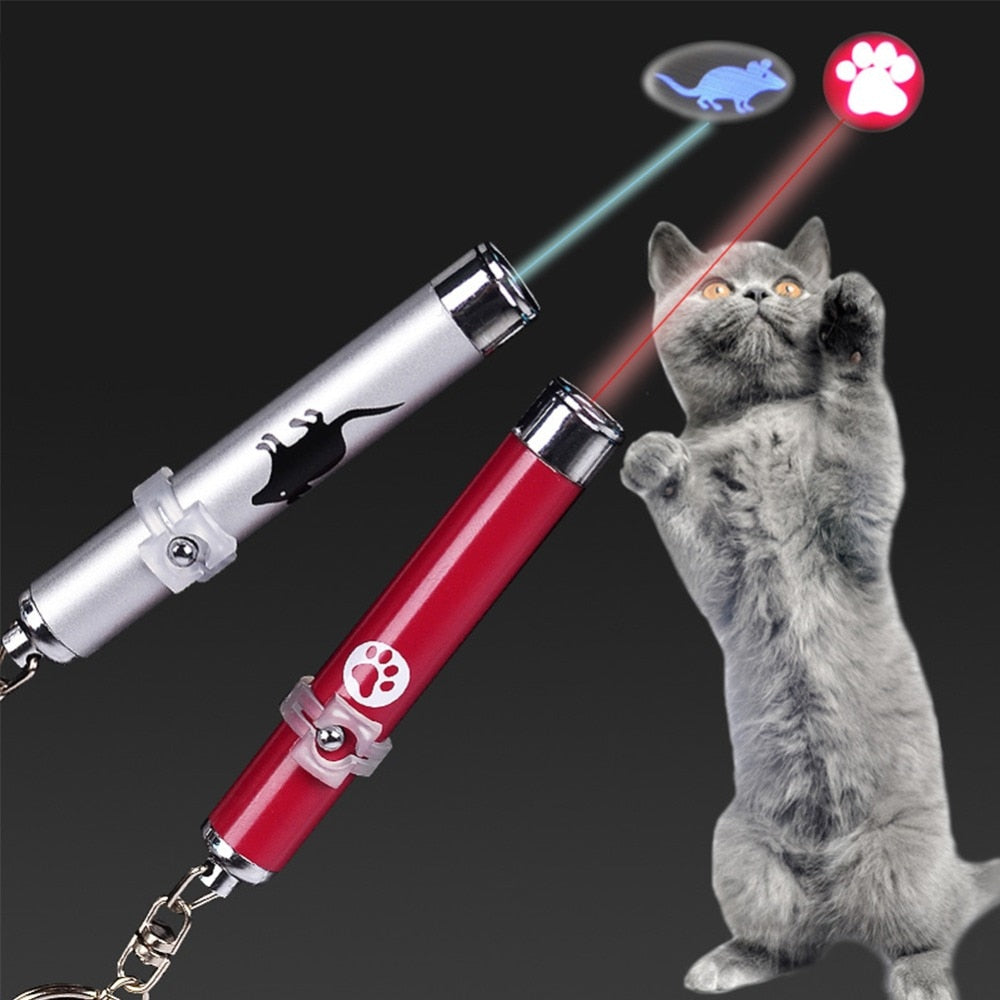Portable Cat Laser Pointer Toys Training Interactive Cat Magnet with Bright Footprints Fish Mice